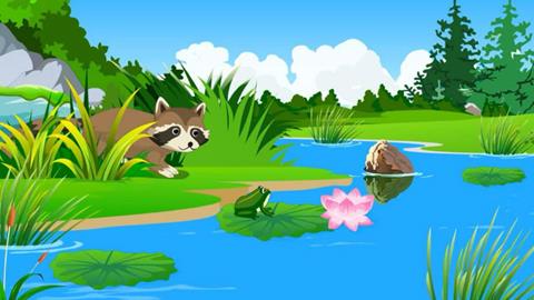 池塘里的动物