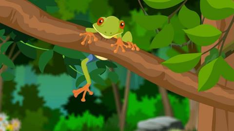 热带雨林的动物