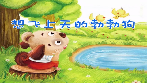 想飞上天的勃勃狗