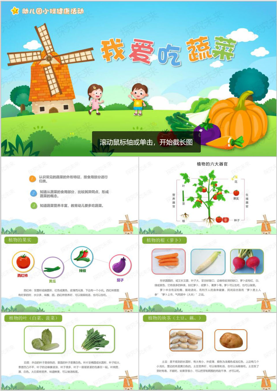 健康-我爱吃蔬菜