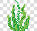 海草